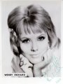 Wendy Richard publicity card, circa early-1964